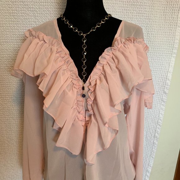 Soft Pink Ruffle Blouse - Semi Sheer - Picture 2 of 7